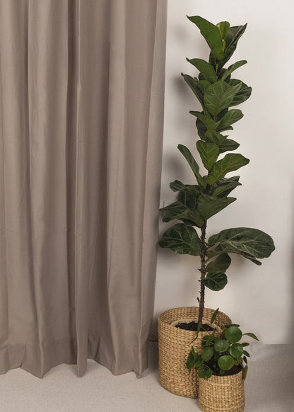 Solid Walnut Grey 100% cotton plain curtain for bedroom - Room darkening - Single Piece
