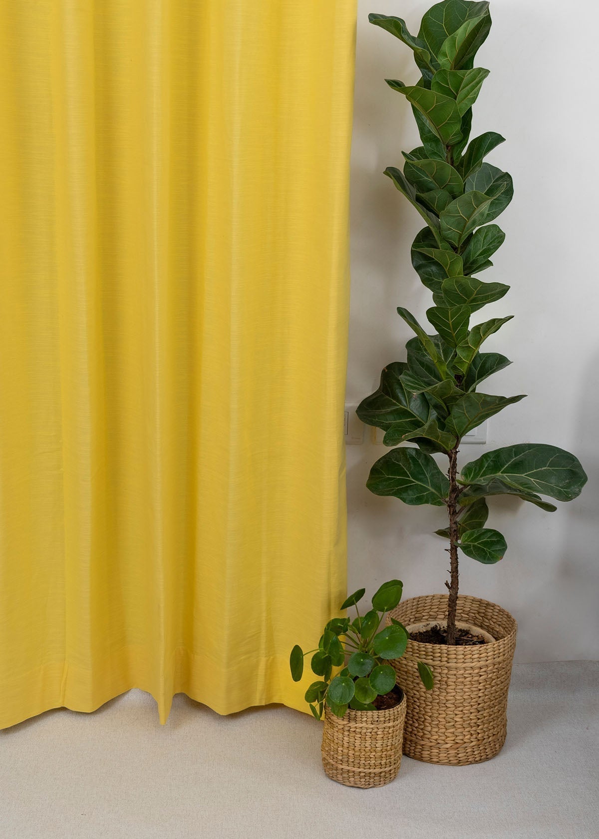 Solid Primrose yellow 100% cotton plain curtain for bedroom - Room darkening - Single Piece